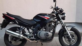 Suzuki GS 500 (2001 - 06) usata