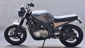 Suzuki GS 500 F (2004 - 06) 