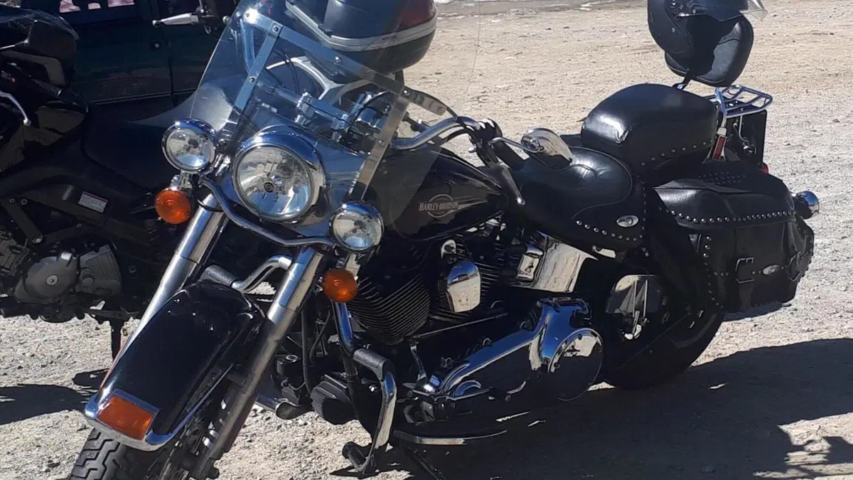 Harley-Davidson 1584 Heritage Classic (2008 - 10) - FLSTC  (4)