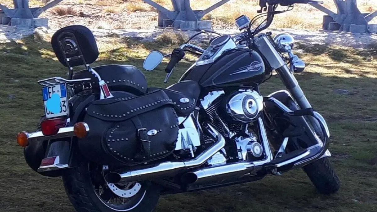 Harley-Davidson 1584 Heritage Classic (2008 - 10) - FLSTC  (5)
