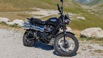 Triumph Scrambler (2006 - 17)