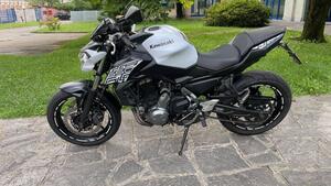 Kawasaki Z 650 Performance (2019 - 20) 