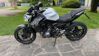 Kawasaki Z 650 Performance (2019 - 20)