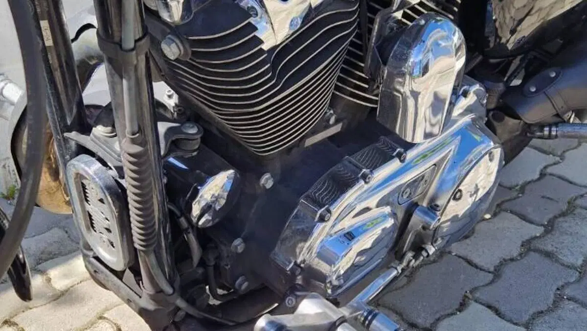 Harley-Davidson 1200 Custom (2004 - 06) - XL 1200C  (5)