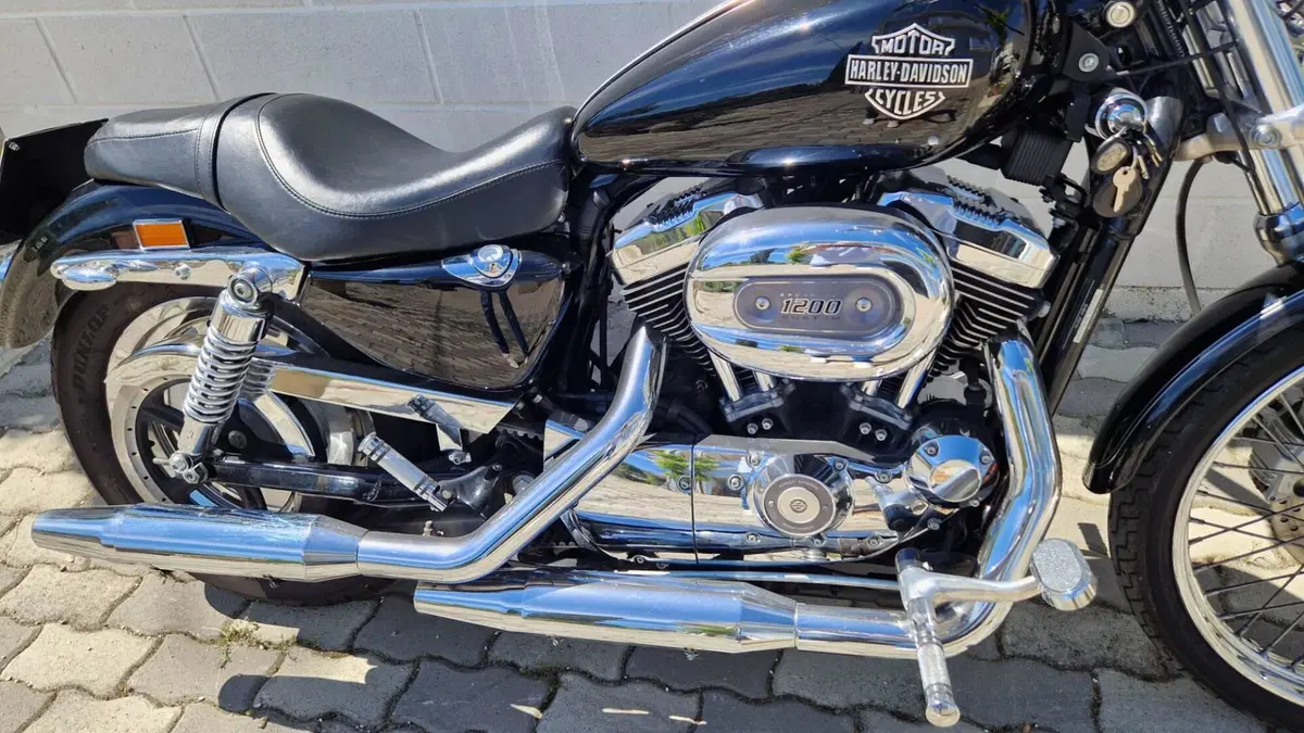 Harley-Davidson 1200 Custom (2004 - 06) - XL 1200C  (6)