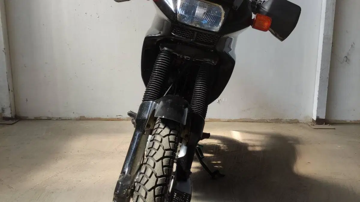 Honda NX 650 Dominator (1988 - 90)  (2)