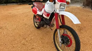Yamaha   (2)
