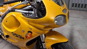 Triumph Daytona 955 I (1999 - 01) 
