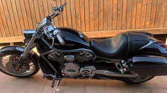 Harley-Davidson 1250 Night Rod Special (2008 - 17) - VRSCDX usata