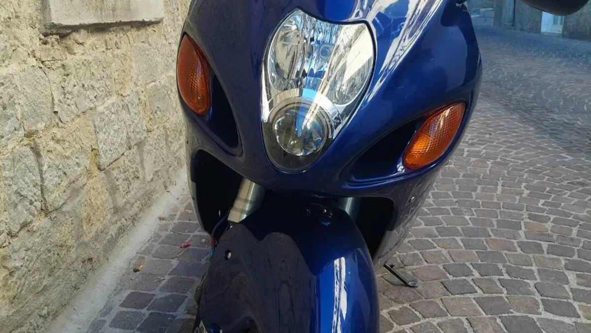 Suzuki GSX 1300 R Hayabusa (1999 - 06)  (3)