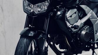 Kawasaki Z 750 (2007 - 14) usata