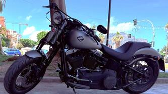 Harley-Davidson 1584 Cross Bones (2008 - 11) - FLSTSB usata