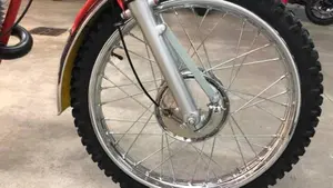Puch   (11)