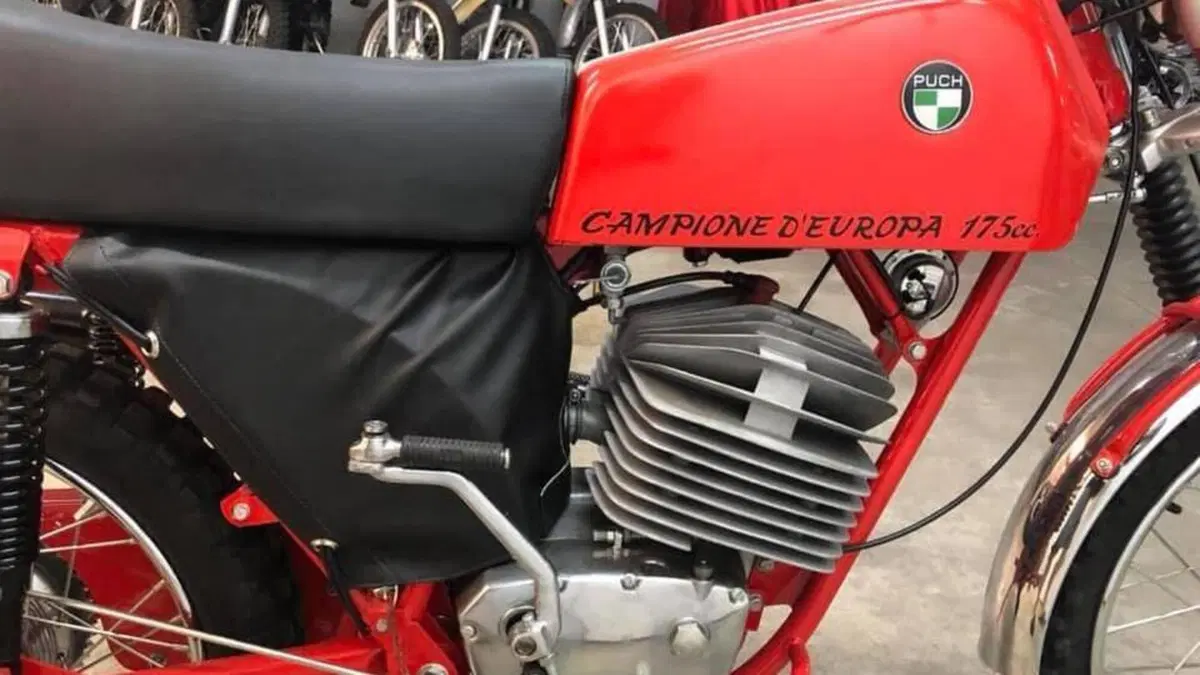 Puch   (14)