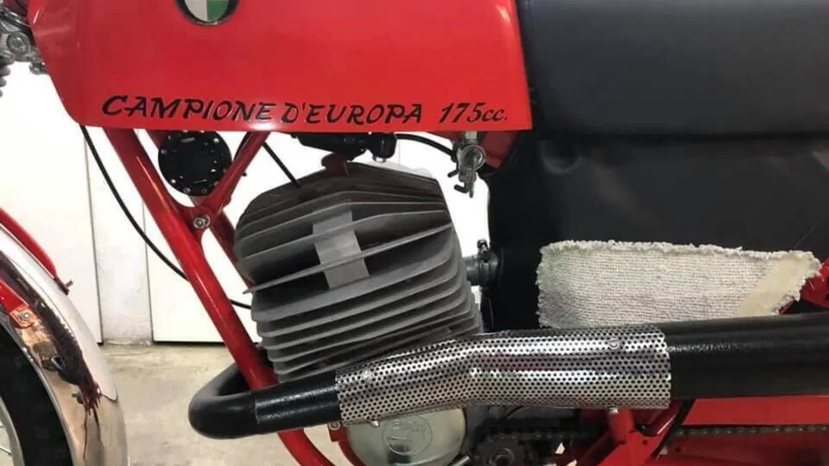 Puch   (17)