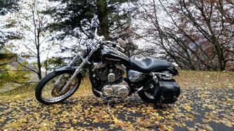 Harley-Davidson 1200 Custom (2004 - 06) - XL 1200C usata