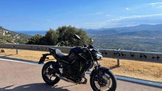 Kawasaki Z 650 (2021 - 24)