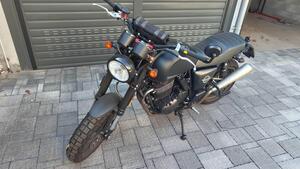 Swm Ace of Spades 500 (2018 - 20) 