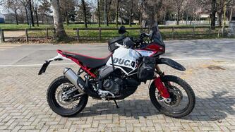 Ducati DesertX Rally (2024 - 25) usata