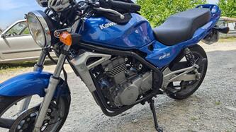 Kawasaki ER-5 500 (1996 - 00) usata