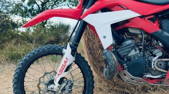GASGAS EC 250 H Racing (2011 - 2012) usata