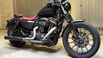 Harley-Davidson 883 Iron (2009 - 11) - XL 883N