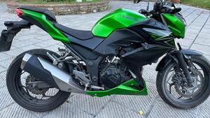 Kawasaki Z 300 ABS (2015 - 16) 