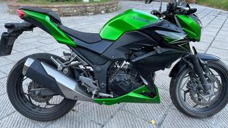 Kawasaki Z 300 ABS (2015 - 16) usata