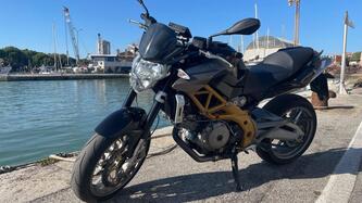 Aprilia Shiver (2008 - 10) usata