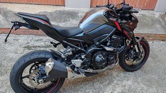 Kawasaki Z 900 (2021 - 24) usata