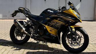 Kawasaki Ninja 300 ABS (2012 - 16) usata