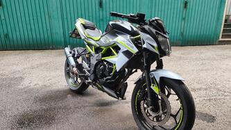 Kawasaki Z 125 (2019 - 20) usata