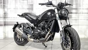 Benelli Leoncino 500 (2021 - 25) 