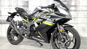 Kawasaki Ninja 125 (2019 - 20) 