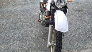 Betamotor Alp 4.0 (2008 - 17) 