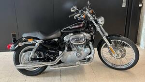 Harley-Davidson 883 Custom (2008 - 12) - XL 883C 