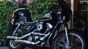 Harley-Davidson 1340 Low Rider (1989 - 99) - FXR 