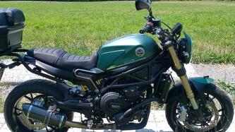 Benelli Leoncino 800 (2022 - 25)