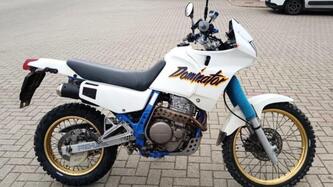 Honda NX 650 Dominator (1988 - 90) usata