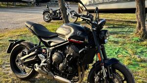 Triumph Trident 660 Triple Tribute Edition (2025) 