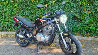 Suzuki GS 500 (2001 - 06) usata