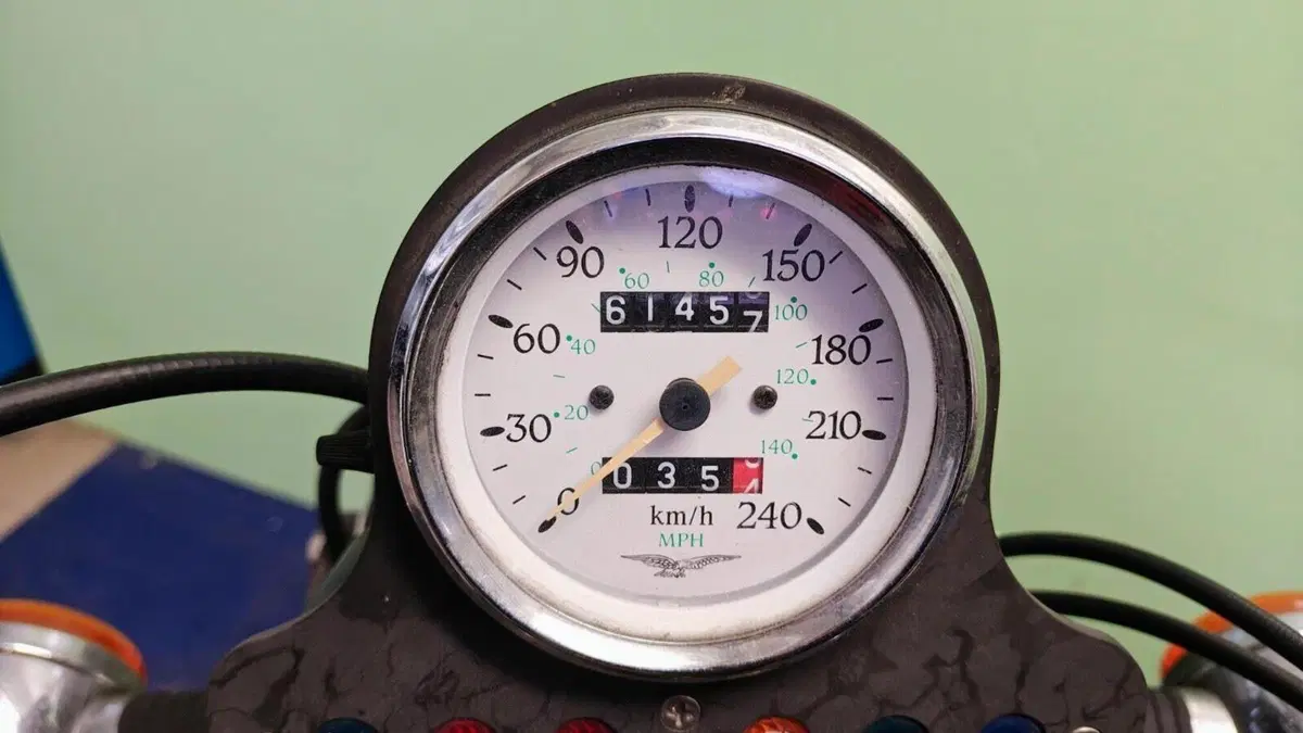 Moto Guzzi California Stone (2001 - 06)  (5)