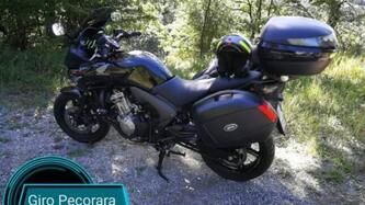 Honda CBF 600 S (2007 - 12)
