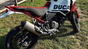 Ducati DesertX Rally (2024 - 25) usata