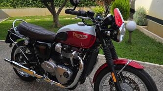 Triumph Bonneville T100 Bud Ekins SE (2020) usata