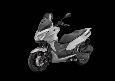 QJ Motor MTX 300 (2025 - 26) - Annuncio 9788703