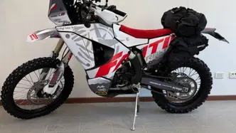 Fantic Motor XEF 450 Rally (2023 - 26) usata
