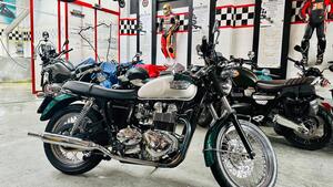 Triumph  