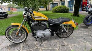 Harley-Davidson 1200 Roadster (2002 - 05) - XL 1200R 
