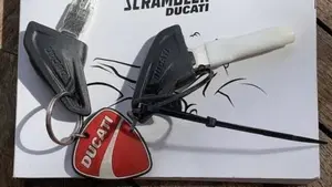 Ducati Scrambler 1100 Tribute Pro (2022 - 24)  (10)